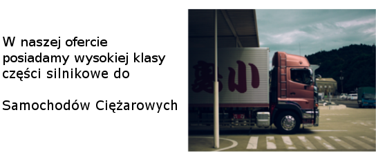 tłok, pierścienie, tuleja cylindra zestawy (tłok, tuleja, pierścienie) panewki g
