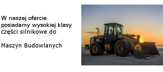tłok, pierścienie, tuleja cylindra zestawy (tłok, tuleja, pierścienie) panewki g