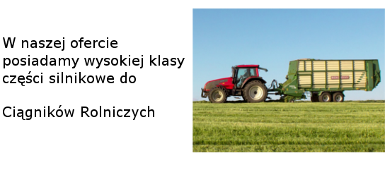 tłok, pierścienie, tuleja cylindra zestawy (tłok, tuleja, pierścienie) panewki g