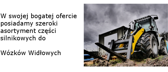 tłok, pierścienie, tuleja cylindra zestawy (tłok, tuleja, pierścienie) panewki g